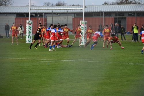 DSC 0114 (1) (1) (1) (1) (1) (1) (1) (1) (1) (1) (1)