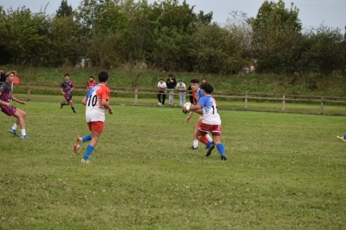 DSC 0661 (1) (1) (1) (1) (1) (1) (1) (1) (1) (1)