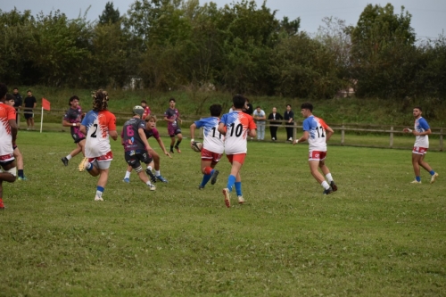DSC 0664 (1) (1) (1) (1) (1) (1) (1) (1) (1) (1)