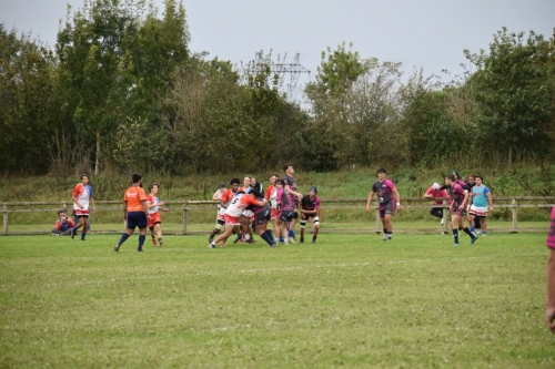 DSC 0829 (1) (1) (1) (1) (1) (1) (1) (1) (1)