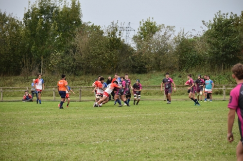 DSC 0830 (1) (1) (1) (1) (1) (1) (1) (1) (1)
