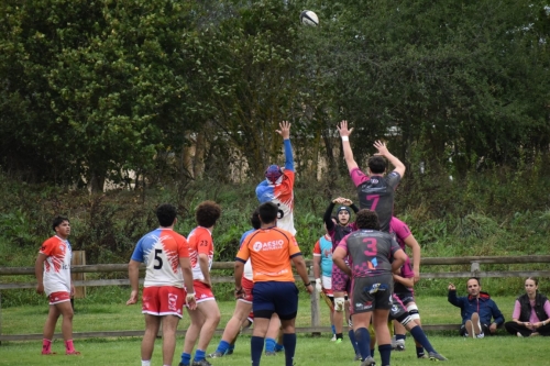 DSC 0910 (1) (1) (1) (1) (1) (1) (1)