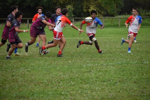 DSC 0973 (1) (1) (1) (1)