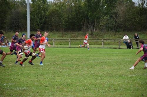 DSC 0979 (1) (1) (1)