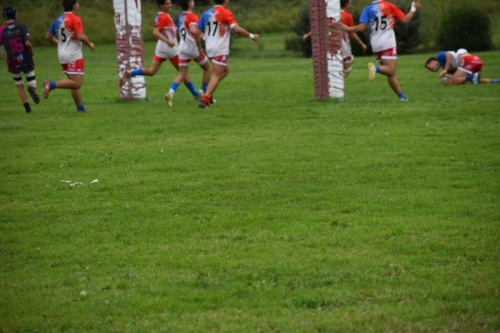 DSC 0988 (1) (1) (1)
