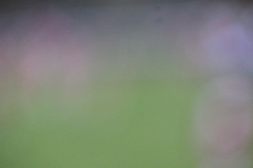 PERIGUEUX231119-0054